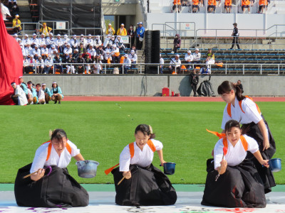 20231028_033458080_iOS