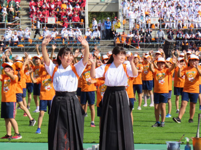 20231028_033735610_iOS