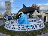 画像 -20251119-064347-4dbf84f4