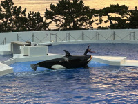 画像 -20251119-074650-5958e7b6