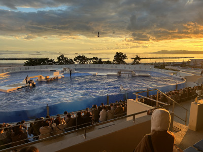 画像 -20251119-073220-579b89f7