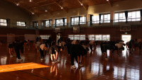 IMG_0633